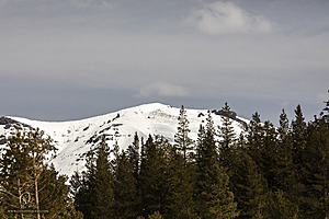 Sierra_PH23_IMG_4885.jpg