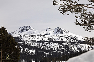 Sierra_PH23_IMG_4985.jpg