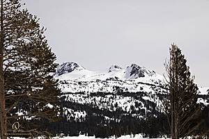 Sierra_PH23_IMG_5015.jpg