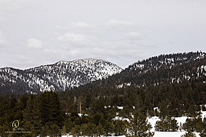 Sierra_PH23_IMG_5150.jpg