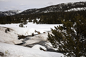 Sierra_PH23_IMG_5151.jpg