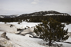 Sierra_PH23_IMG_5154.jpg