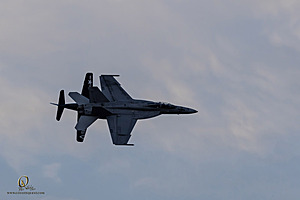 230_CCA_PH24_IMG_6853-Enhanced-NR.jpg