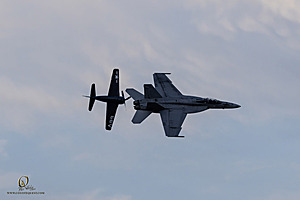 231_CCA_PH24_IMG_6854-Enhanced-NR.jpg