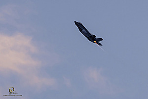 240_CCA_PH24_IMG_7162-Enhanced-NR.jpg
