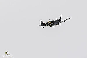 037_CCA_PH25_IMG_0431-Enhanced-NR.jpg