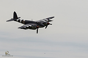 038_CCA_PH25_IMG_0442-Enhanced-NR.jpg