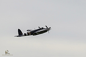 039_CCA_PH25_IMG_0449-Enhanced-NR.jpg