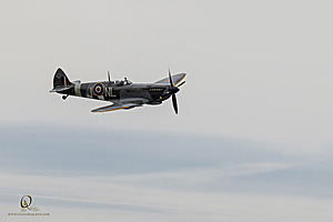 040_CCA_PH25_IMG_0458-Enhanced-NR.jpg