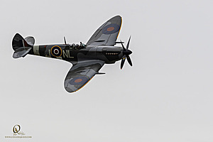 041_CCA_PH25_IMG_0480-Enhanced-NR.jpg