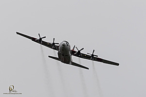 061_CCA_PH25_IMG_0736-Enhanced-NR.jpg