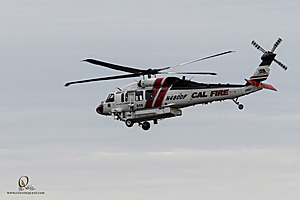 064_CCA_PH25_IMG_0791-Enhanced-NR.jpg