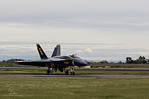 067_CCA_PH25_IMG_0836-Enhanced-NR.jpg