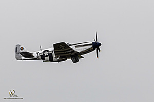 068_CCA_PH25_IMG_0839-Enhanced-NR.jpg