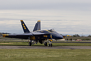 079_CCA_PH25_IMG_1058-Enhanced-NR.jpg