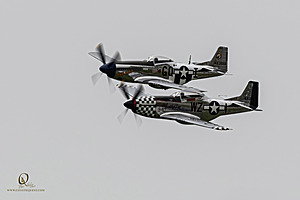 080_CCA_PH25_IMG_1094-Enhanced-NR.jpg