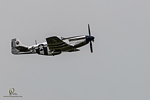 082_CCA_PH25_IMG_1143-Enhanced-NR.jpg
