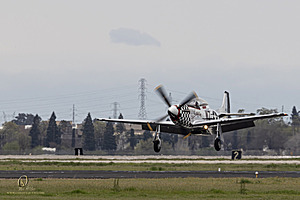 083_CCA_PH25_IMG_1158-Enhanced-NR.jpg
