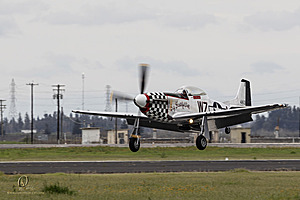084_CCA_PH25_IMG_1167-Enhanced-NR.jpg