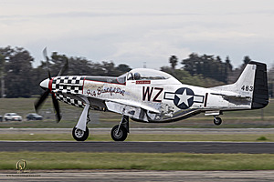 085_CCA_PH25_IMG_1171-Enhanced-NR.jpg