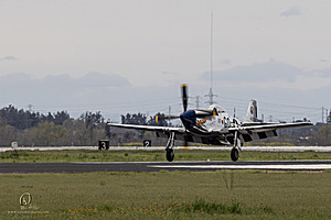 086_CCA_PH25_IMG_1181-Enhanced-NR.jpg