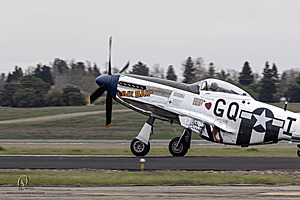 087_CCA_PH25_IMG_1192-Enhanced-NR.jpg