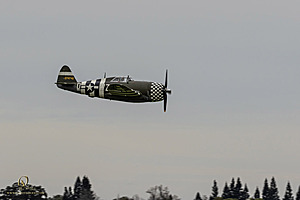 088_CCA_PH25_IMG_1207-Enhanced-NR.jpg