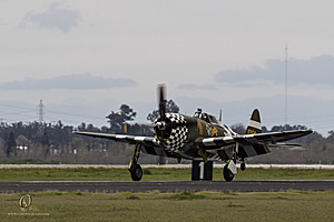 094_CCA_PH25_IMG_1388-Enhanced-NR.jpg