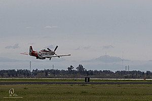 095_CCA_PH25_IMG_1412-Enhanced-NR.jpg