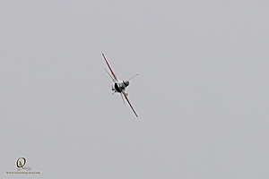 098_CCA_PH25_IMG_1430-Enhanced-NR.jpg