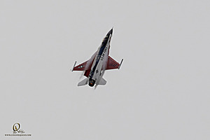 101_CCA_PH25_IMG_1459-Enhanced-NR.jpg