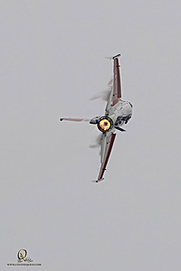 110_CCA_PH25_IMG_1621-Enhanced-NR.jpg