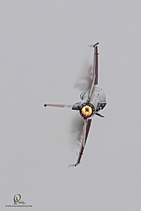 111_CCA_PH25_IMG_1622-Enhanced-NR.jpg