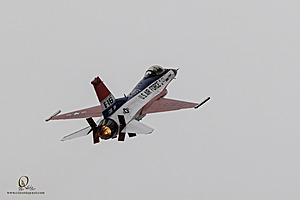 113_CCA_PH25_IMG_1670-Enhanced-NR.jpg