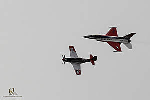 116_CCA_PH25_IMG_1759-Enhanced-NR.jpg