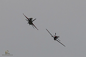 117_CCA_PH25_IMG_1793-Enhanced-NR.jpg