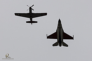 120_CCA_PH25_IMG_1916-Enhanced-NR.jpg