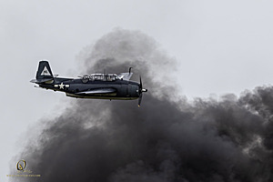 152_CCA_PH25_IMG_2543-Enhanced-NR.jpg