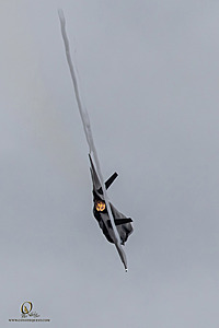 178_CCA_PH25_IMG_3001-Enhanced-NR.jpg