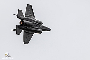 181_CCA_PH25_IMG_3020-Enhanced-NR.jpg