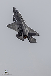 184_CCA_PH25_IMG_3032-Enhanced-NR.jpg