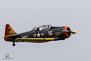 198_CCA_PH25_IMG_3223-Enhanced-NR.jpg