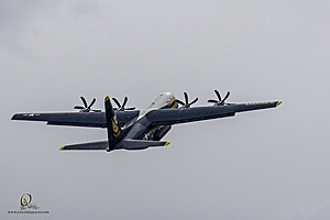 206_CCA_PH25_IMG_3292-Enhanced-NR.jpg