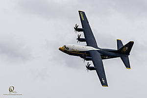 207_CCA_PH25_IMG_3314-Enhanced-NR.jpg