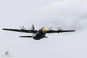209_CCA_PH25_IMG_3356-Enhanced-NR.jpg