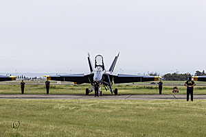 211_CCA_PH25_IMG_3443-Enhanced-NR.jpg