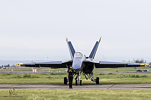 227_CCA_PH25_IMG_3520-Enhanced-NR.jpg