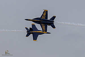 238_CCA_PH25_IMG_3687-Enhanced-NR.jpg