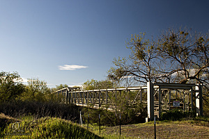 CC_PH23_IMG_1585.jpg