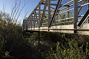 CC_PH23_IMG_1591.jpg